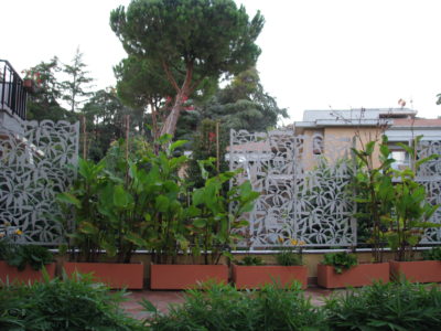 Tropique Mauresque